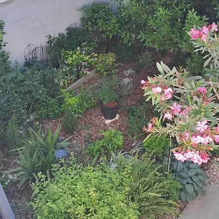 1918apartman Centar,poljana *