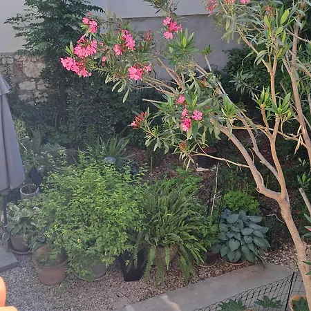 Apartament 1918apartman Centar,poljana Szybenik