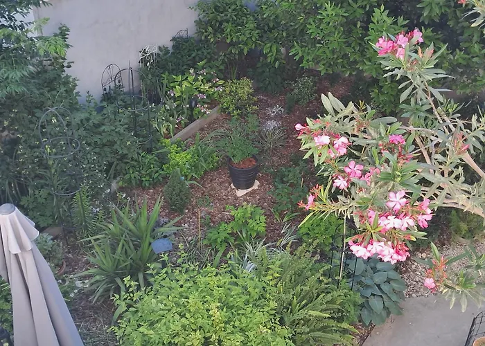 1918apartman Centar,poljana *