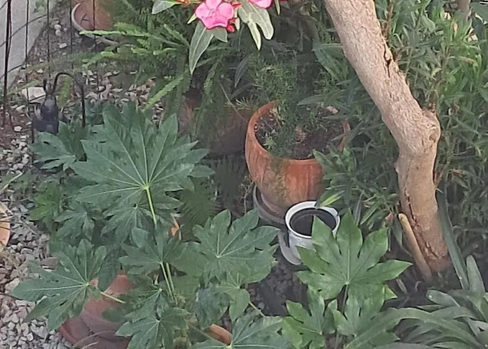 1918apartman Centar,poljana 公寓 希贝尼克